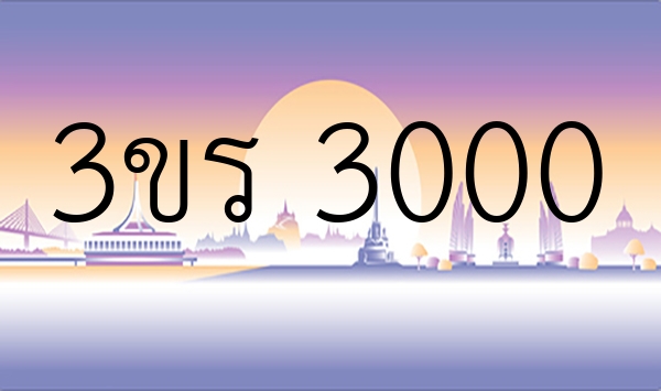 3ขร 3000